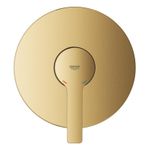 Casa si Gradina - Sanitare - Cazi si cabine de dus - Coloane si seturi de dus - Unitate comanda Grohe 24063GN1, Lineare, 1 functie, necesita valva, mat, auriu - Infinity.ro