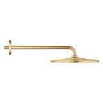Casa si Gradina - Sanitare - Cazi si cabine de dus - Coloane si seturi de dus - Dus fix Grohe 26558GN0, Rainshower 310, pe perete, 310 mm, 1 functie, mat, auriu - Infinity.ro