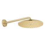 Casa si Gradina - Sanitare - Cazi si cabine de dus - Coloane si seturi de dus - Dus fix Grohe 26558GN0, Rainshower 310, pe perete, 310 mm, 1 functie, mat, auriu - Infinity.ro