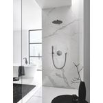 Casa si Gradina - Sanitare - Cazi si cabine de dus - Coloane si seturi de dus - Dus fix Grohe 26066A00, Rainshower 310, pe perete, 310 mm, 1 functie, lucios, grafit - Infinity.ro