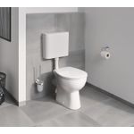 Casa si Gradina - Sanitare - Obiecte sanitare - Accesorii vase de toaleta - Rezervor WC podea Grohe 37355SH0, pe perete, universal, valva, plastic, alb - Infinity.ro