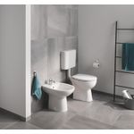 Casa si Gradina - Sanitare - Obiecte sanitare - Accesorii vase de toaleta - Rezervor WC podea Grohe 37355SH0, pe perete, universal, valva, plastic, alb - Infinity.ro