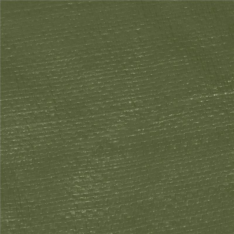 Casa si Gradina - Gradina si terasa - Mobilier exterior - Accesorii pentru gradina - Prelata din polietilena impermeabila laminata, 100g/m2, 4x5 m, verde - Infinity.ro