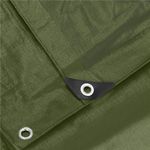 Casa si Gradina - Gradina si terasa - Mobilier exterior - Accesorii pentru gradina - Prelata din polietilena impermeabila laminata, 100g/m2, 4x5 m, verde - Infinity.ro
