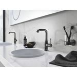 Casa si Gradina - Sanitare - Suporturi si accesorii baie - Suporturi baie - Suport Grohe 40369A01, Essentials, pahar sau savoniera, fixare ascunsa, lucios, grafit - Infinity.ro