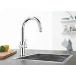 Casa si Gradina - Sanitare - Chiuveta bucatarie si accesorii - Baterii bucatarie - Baterie bucatarie Grohe 1010730001, 0.6 bar, 419 mm, 219 mm, 1 orificii instalare, 3 sprayuri, 150 unghi pivotare, Crom - Infinity.ro