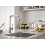 Casa si Gradina - Sanitare - Chiuveta bucatarie si accesorii - Baterii bucatarie - Baterie bucatarie Grohe 1012420000, 0.6 bar, 310 mm, 228 mm, 1 orificii instalare, 1 sprayuri, 150 unghi pivotare, Crom - Infinity.ro