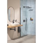 Casa si Gradina - Sanitare - Cazi si cabine de dus - Coloane si seturi de dus - Sistem dus Grohe 348812430, 310 mm, 1.2 bar, 30 mm, 1.5 m, 422 mm, 1 functii palarie dus, 1 functii para dus, Negru - Infinity.ro