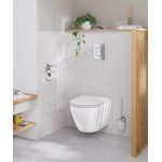 Casa si Gradina - Sanitare - Obiecte sanitare - Accesorii vase de toaleta - Capac WC Grohe 102500SH00, 450 mm, 365 mm, 1 functii speciale, capac softclose, oval, duroplast, Alb - Infinity.ro