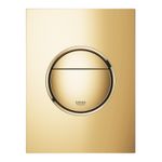Casa si Gradina - Sanitare - Obiecte sanitare - Accesorii vase de toaleta - Clapeta WC Grohe 37601GL0, 130 mm, 172 mm, functie eco, verticala, incastrat pentru tip rezervor, Auriu - Infinity.ro