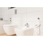 Casa si Gradina - Sanitare - Obiecte sanitare - Accesorii vase de toaleta - Clapeta WC Grohe 38965000, 156 mm, 197 mm, functie eco, verticala, incastrat pentru tip rezervor, Crom - Infinity.ro