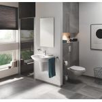 Casa si Gradina - Sanitare - Obiecte sanitare - Accesorii vase de toaleta - Clapeta WC Grohe 37601000, 130 mm, 172 mm, functie eco, verticala, incastrat pentru tip rezervor, Crom - Infinity.ro