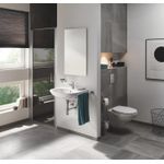 Casa si Gradina - Sanitare - Obiecte sanitare - Accesorii vase de toaleta - Clapeta WC Grohe 37601000, 130 mm, 172 mm, functie eco, verticala, incastrat pentru tip rezervor, Crom - Infinity.ro