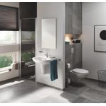 Casa si Gradina - Sanitare - Obiecte sanitare - Accesorii vase de toaleta - Clapeta WC Grohe 37601000, 130 mm, 172 mm, functie eco, verticala, incastrat pentru tip rezervor, Crom - Infinity.ro