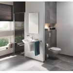 Casa si Gradina - Sanitare - Obiecte sanitare - Accesorii vase de toaleta - Clapeta WC Grohe 37601000, 130 mm, 172 mm, functie eco, verticala, incastrat pentru tip rezervor, Crom - Infinity.ro