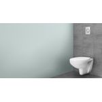 Casa si Gradina - Sanitare - Obiecte sanitare - Accesorii vase de toaleta - Clapeta WC Grohe 37601000, 130 mm, 172 mm, functie eco, verticala, incastrat pentru tip rezervor, Crom - Infinity.ro