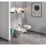 Casa si Gradina - Sanitare - Obiecte sanitare - Accesorii vase de toaleta - Clapeta WC Grohe 37601000, 130 mm, 172 mm, functie eco, verticala, incastrat pentru tip rezervor, Crom - Infinity.ro