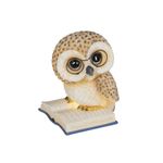 Casa si Gradina - Decoratiuni - Decoratiuni de sezon - Decoratiune Craciun Bufnita pe carte cu lumini LED, 18x21.5x24.5 cm, maro - Infinity.ro