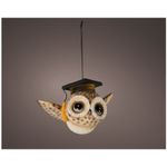 Casa si Gradina - Decoratiuni - Decoratiuni de sezon - Decoratiune Craciun Bufnita suspendata cu MicroLED, 10.5x16x9.5 cm, maro - Infinity.ro
