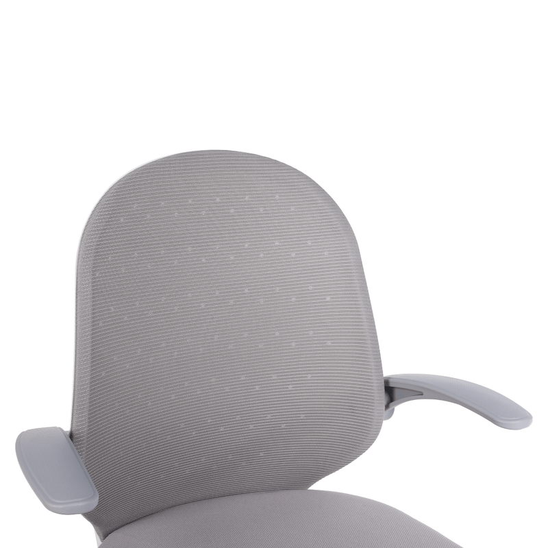 Casa si Gradina - Mobilier - Scaune si fotolii - Scaune - Fotoliu de birou, gri/alb, PASTURA - Infinity.ro