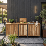 Casa si Gradina - Gradina si terasa - Mobilier exterior - Dulapuri si lazi depozitare exterior - Dulapior de bucatarie pentru gradina, lemn de salcam, natural, ALIENA TYP 2 - Infinity.ro