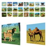 Jucarii, Copii si Bebe - Jucarii si jocuri - Jucarii & jocuri educative - Jucarii interactive - Jucarie Lanterna Proiector Mini Animale din Jungla cu 3 Diapozitive - Infinity.ro