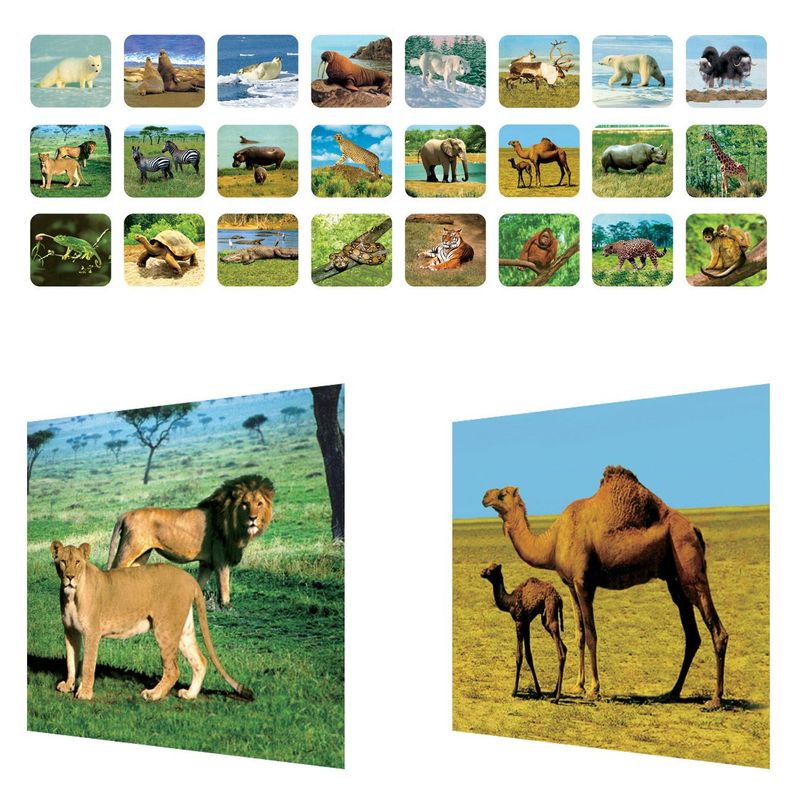 Jucarii, Copii si Bebe - Jucarii si jocuri - Jucarii & jocuri educative - Jucarii interactive - Jucarie Lanterna Proiector Mini Animale din Jungla cu 3 Diapozitive - Infinity.ro