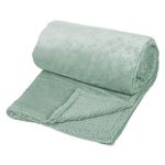Casa si Gradina - Textile si covoare - Pături și cuverturi - Pături - Patura Catifelata Verde Menta cu Interior Sherpa, 200x150 cm - Infinity.ro
