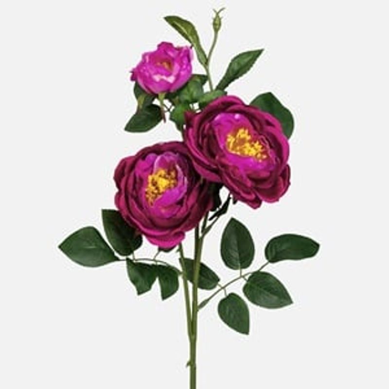 Casa si Gradina - Decoratiuni - Obiecte decorative - Plante artificiale - CAMELIE ROZ-MOV 3FLORI 63CM - Infinity.ro
