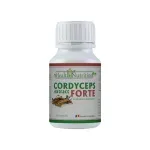 Ingrijire personala si Cosmetice - Sanatate si wellness - Suplimente alimentare - Alte suplimente alimentare - Cordyceps Extract Forte 120 capsule - Infinity.ro