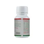 Ingrijire personala si Cosmetice - Sanatate si wellness - Suplimente alimentare - Alte suplimente alimentare - Ghimbir Extract Forte 120 capsule - Infinity.ro