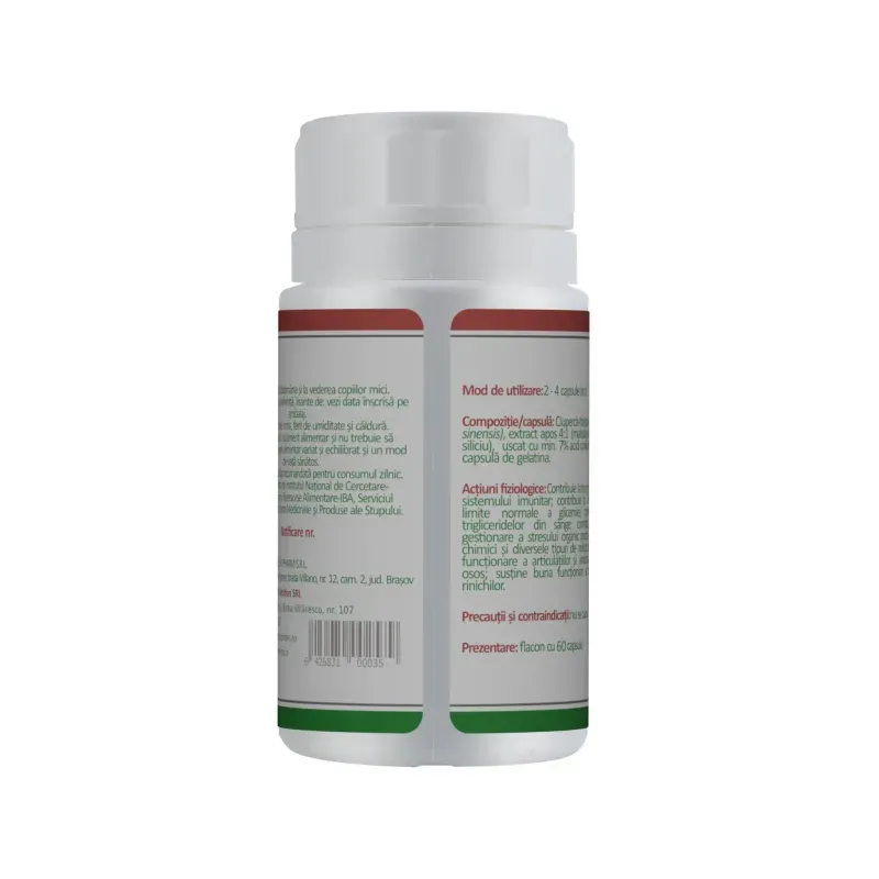 Ingrijire personala si Cosmetice - Sanatate si wellness - Suplimente alimentare - Alte suplimente alimentare - Cordyceps Extract Forte 60 capsule - Infinity.ro