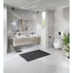 Casa si Gradina - Sanitare - Obiecte sanitare - Accesorii vase de toaleta - Capac WC Grohe 102501SH00, Euro Ceramic, SoftClose, alb - Infinity.ro