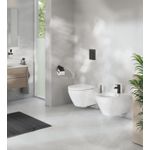 Casa si Gradina - Sanitare - Obiecte sanitare - Accesorii vase de toaleta - Capac WC Grohe 102501SH00, Euro Ceramic, SoftClose, alb - Infinity.ro