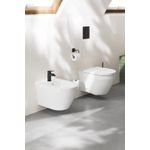 Casa si Gradina - Sanitare - Obiecte sanitare - Accesorii vase de toaleta - Capac WC Grohe 102501SH00, Euro Ceramic, SoftClose, alb - Infinity.ro