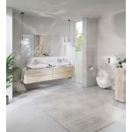 Casa si Gradina - Sanitare - Obiecte sanitare - Accesorii vase de toaleta - Capac WC Grohe 102501SH00, Euro Ceramic, SoftClose, alb - Infinity.ro