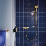 Casa si Gradina - Sanitare - Suporturi si accesorii baie - Suporturi baie - Bara prosop dubla Grohe 41203GN0, Start, 600 mm, meta, mat, auriu - Infinity.ro