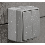 Casa si Gradina - Electrice - Distributie electrica si comanda - Intrerupatoare - Intrerupator dublu ORNO AQUATIC PRO OR-OE-7401/GR, 230V, 10A, montaj aparent, IP55, Gri/Grafit - Infinity.ro