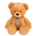 Jucarii, Copii si Bebe - Jucarii si jocuri - Jucarii de plus - Ursulet De Plus Cu Funda 60-80 cm - Infinity.ro