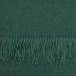 Fashion, accesorii si bijuterii - Femei - Accesorii femei - Esarfe si fulare femei - Esarfa dama, din lana, Buticcochet, 70x190 cm, model uni, Verde - ES3412 - Infinity.ro