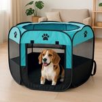 Petshop - Accesorii petshop - Culcusuri si custi - Tarcuri si colivii - Tarc delimitare pentru animale de companie, pliabil, turcoaz, 91x91x58 cm - Infinity.ro