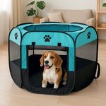 Petshop - Accesorii petshop - Culcusuri si custi - Tarcuri si colivii - Tarc delimitare pentru animale de companie, pliabil, turcoaz, 91x91x58 cm - Infinity.ro