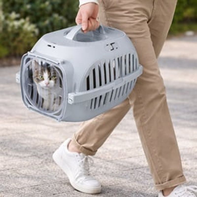 Petshop - Accesorii petshop - Culcusuri si custi - Genti si articole transport - Cusca transport animale de companie, 49,5x32,4x28,5 cm, gri - Infinity.ro