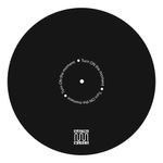TV, Audio-Video si Foto - Audio Hi-Fi - Accesorii Audio Hi-Fi - Covoras din silicon pentru pick-up (12" Slipmat) Electromures EM A024, diametru aprox. 30 cm ,diverse culori - Infinity.ro