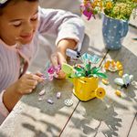 Jucarii, Copii si Bebe - Jucarii si jocuri - Seturi de constructie si cuburi - Seturi de constructie - LEGO Creator 3in1 flori in stropitoare 31149 - Infinity.ro