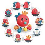 Jucarii, Copii si Bebe - Jucarii si jocuri - Jucarii bebelusi - Jucarii interactive bebelusi - Jucarie senzoriala si de dentitie pentru copii 1 an+, Rosu - Infinity.ro