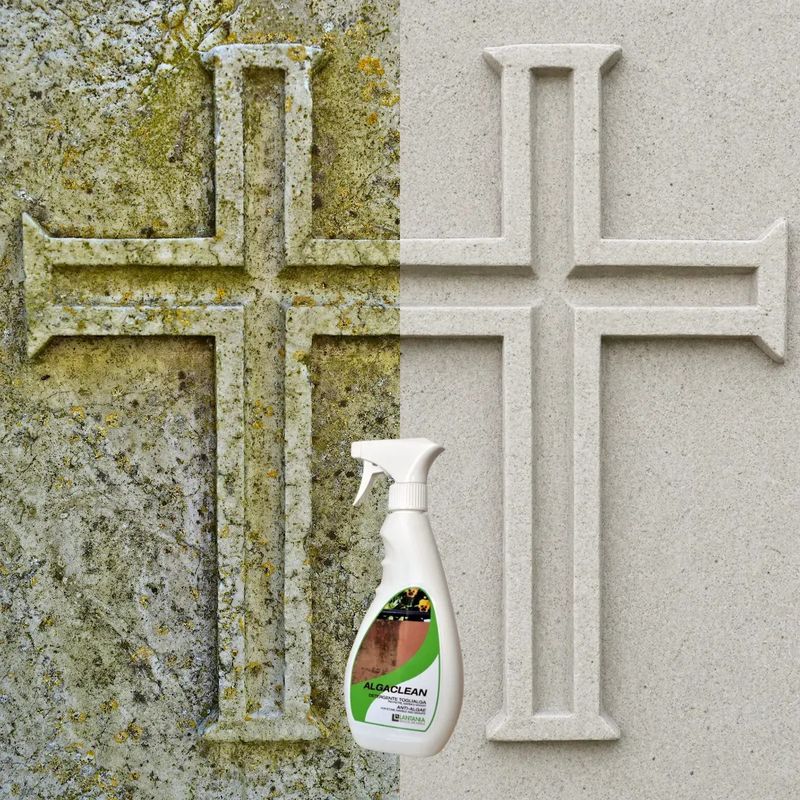 Market - Curatenie si intretinere casa - Produse menaj - Solutii curatenie - Solutie indepartare muschi, alge, licheni si mucegai ALGACLEAN 500ml - Infinity.ro