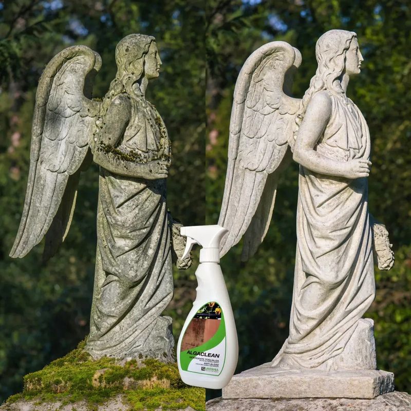 Market - Curatenie si intretinere casa - Produse menaj - Solutii curatenie - Solutie indepartare muschi, alge, licheni si mucegai ALGACLEAN 500ml - Infinity.ro