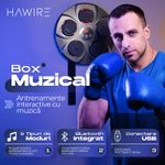 TV, Audio-Video si Foto - Portabile audio - Boxe portabile - Boxa muzicala electronic HAWIRE HJ-003, Conexiune bluetooth, Pentru copii si adulti, Antrenamente de box si fitness - Infinity.ro