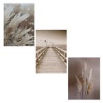 Carti si Birotica - Papetarie - Afise si stickere - Set 3 postere decorative cu model Nature, 30x42 cm, finisaj lucios - Infinity.ro